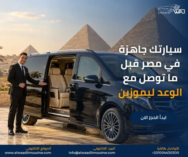 فان خاص مع سائق في القاهرة
